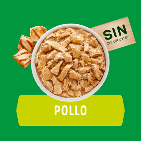 Alimento Humedo Para Perro Dog Chow® Cachorros Con Pollo Sobre 100Gr Pack 15 Unidades