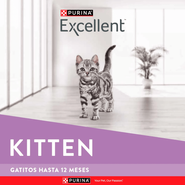 Excellent Cat Kitten 1 Kg