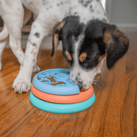 Nina Ottosson Nina Ottosson Comedero Puppy Lickin Layer