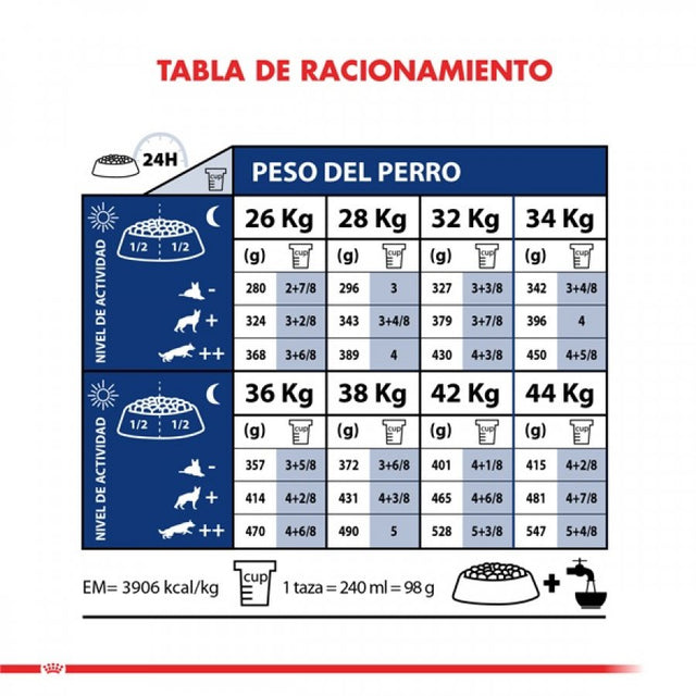 Royal Canin Maxi Adulto 12Kg