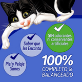 Felix Adultos Pollo 85gr Pack 15 Unidades