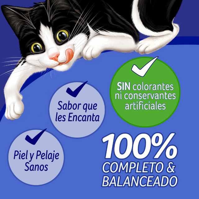 Felix Adultos Pollo 85gr Pack 15 Unidades