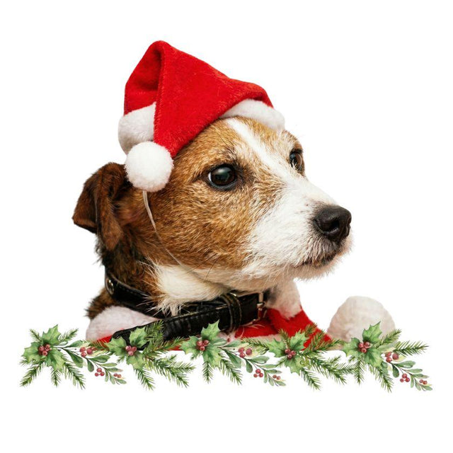  Gorro Navideño para Mascotas