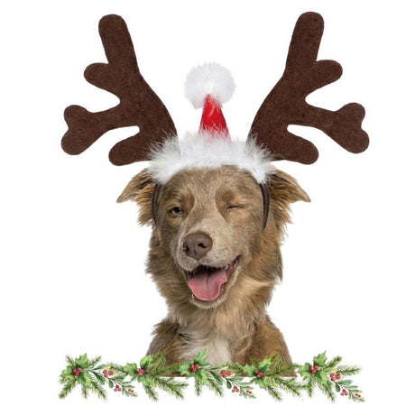 Juguetes y Accesorios para Gatos Astas de Reno con Gorro Navideño para Mascotas
