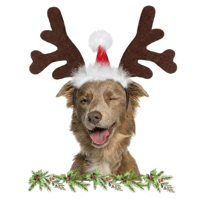  Astas de Reno con Gorro Navideño para Mascotas