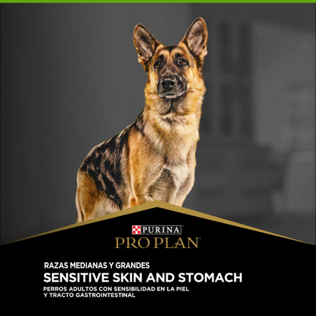 Pro Plan Para Perros Sensitive Skin and Stomach Pavo Razas Medianas y Grandes 12 kg + 3 kg