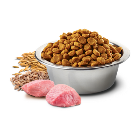 N&D Tropical Selection Cerdo para Perros Adultos Medianos y Maxi