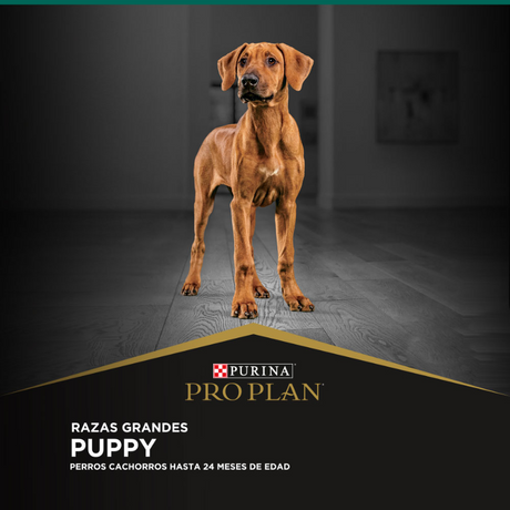 Purina Pro Plan Puppy Large con OptiStar 15kg