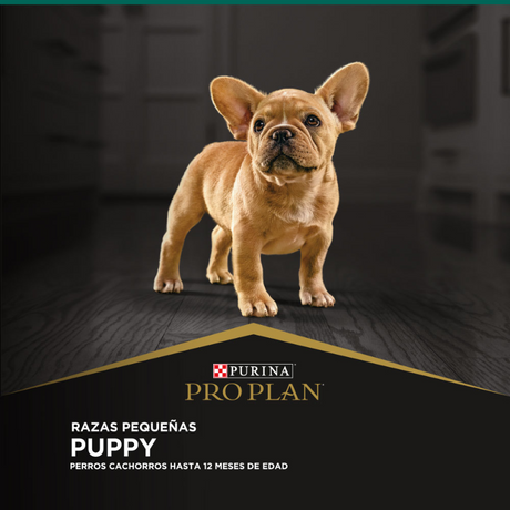 Purina Pro Plan Puppy Small con OptiStar 3kg