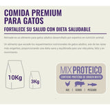  Nómade Gato Adulto