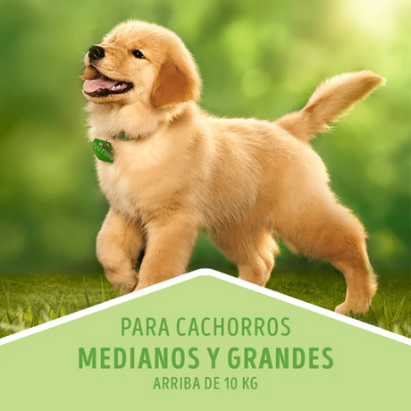Alimento Seco Purina Dog Chow Perros Cachorros Razas Medianas y grandes 16.5kg