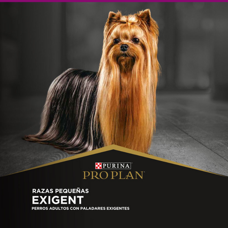 Purina Pro Plan Exigent Small con OptiEnrich 3kg