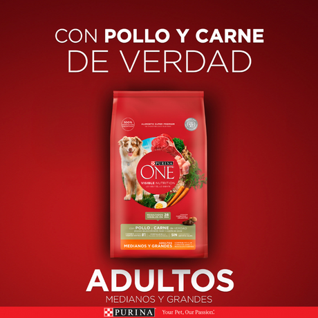 Alimento seco para perro PURINA® ONE® Adulto Mediano y Grande Pollo y Carne 6kg