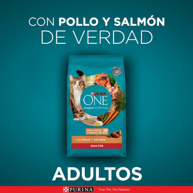  Alimento seco para gato PURINA® ONE® Adulto Pollo y Salmón 2kg