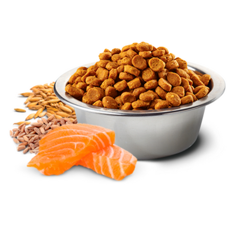 N&D Tropical Selection Salmón – Perros Adultos Medium y Maxi