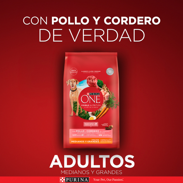  Alimento para perro PURINA® ONE® Adulto Mediano y Grande Pollo y Cordero 2kg