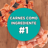 Purina® One® Adulto Pollo Y Salmon 6Kg