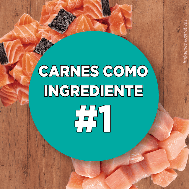  Purina® One® Esterilizado Pollo Y Salmon 6Kg