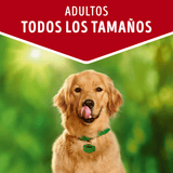 Alimento Humedo Para Perro Dog Chow® Adultos Con Carne Sobre 100G Pack 15 Unidades