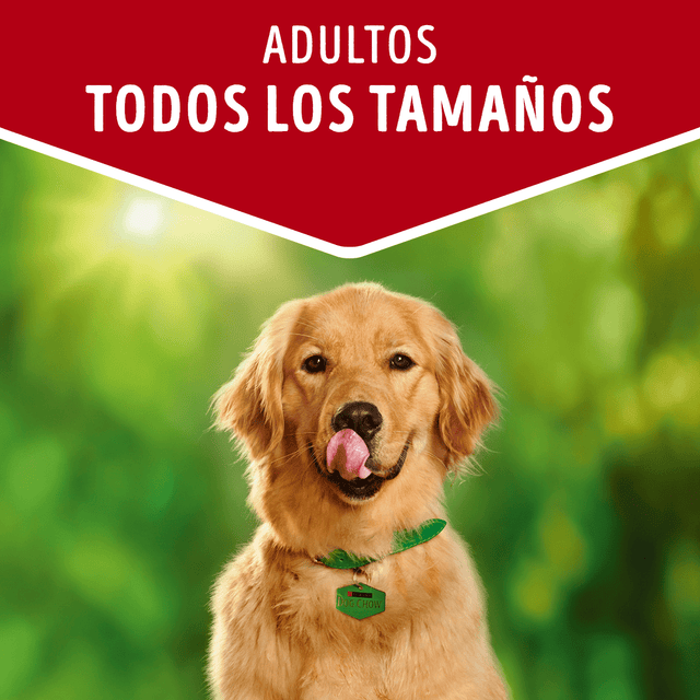 Alimento Humedo Para Perro Dog Chow® Adultos Con Carne Sobre 100G Pack 15 Unidades