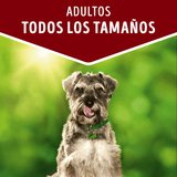 Purina Dog Chow Alimento Humedo Adulto Cordero 100Gr