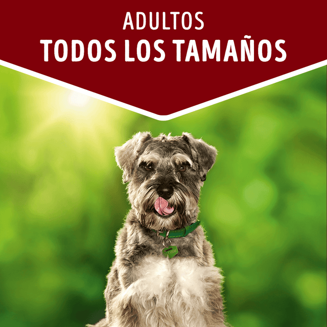 Purina Dog Chow Alimento Humedo Adulto Cordero 100Gr