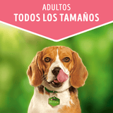  Purina Dog Chow Alimento Humedo Adulto Pavo 100Gr