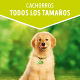  Purina Dog Chow Alimento Humedo Cachorro Pollo 100Gr