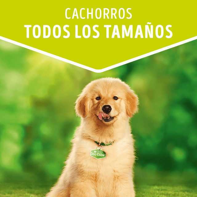  Purina Dog Chow Alimento Humedo Cachorro Pollo 100Gr