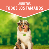 Alimento Humedo Para Perro Dog Chow® Adultos Con Pollo Sobre 100Gr Pack 15 Unidades