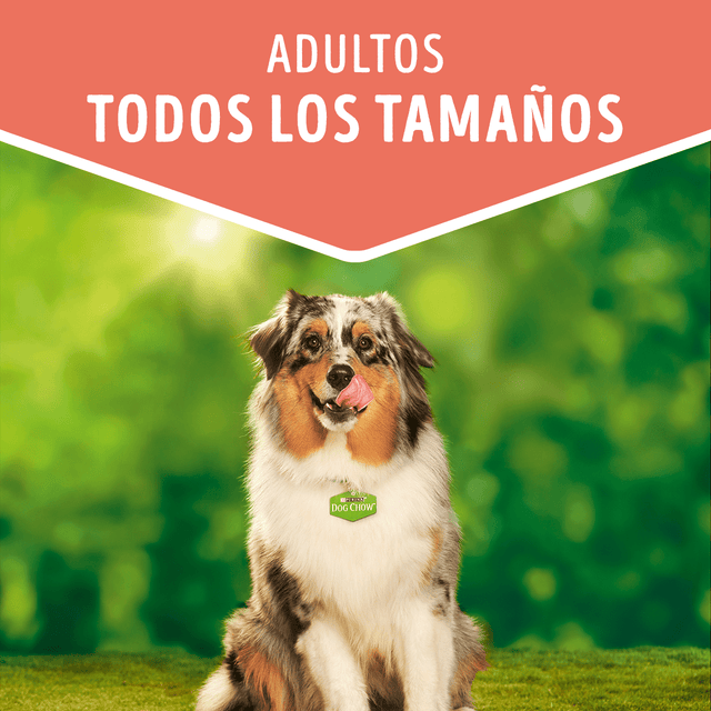 Alimento Humedo Para Perro Dog Chow® Adultos Con Pollo Sobre 100Gr Pack 15 Unidades