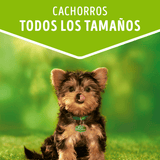 Alimento Humedo Para Perro Dog Chow® Cachorros Con Carne Sobre 100Gr Pack 15 Unidades