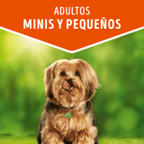 Alimento Humedo Para Perro Dog Chow® Adultos Minis Y Pequenos Sabor Carne 100Gr Pack 15 Unidades
