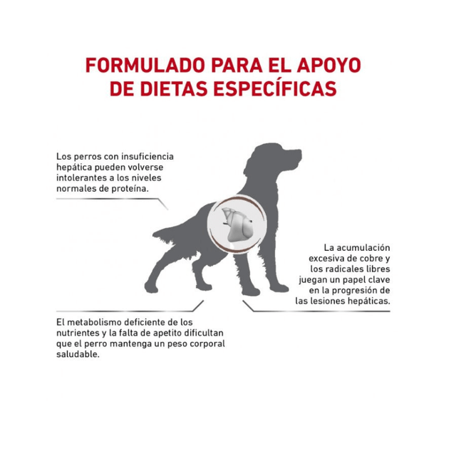  Royal Canin Vet Diet Dog Hepatic 10Kg