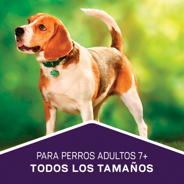  Purina Dog Chow Adultos 7+ Longevidad 8kg