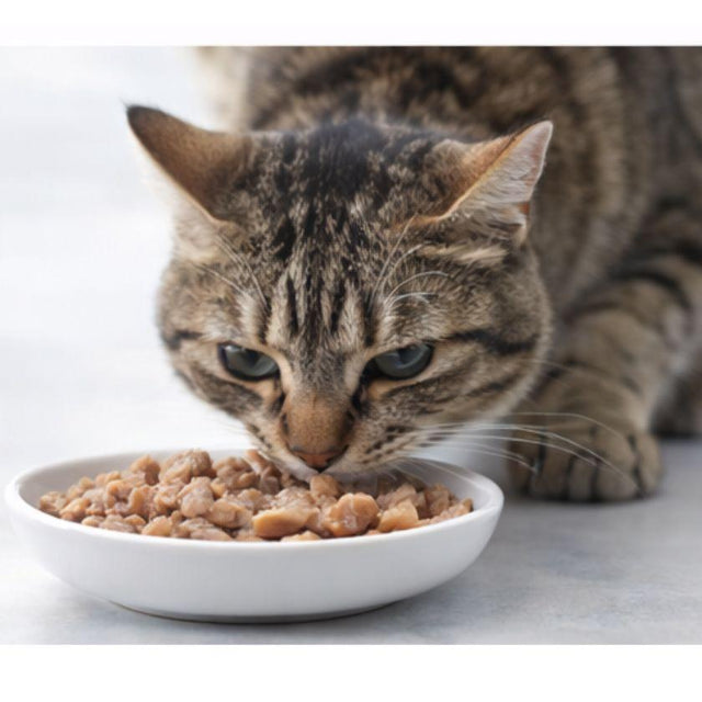  Fit Formula Duo Alimento Húmedo para Gato Sabor Atún, Pollo y Ostión 70gr