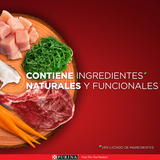 Alimento seco para perro PURINA® ONE® Adulto Mini y Pequeño Pollo y Carne 2kg