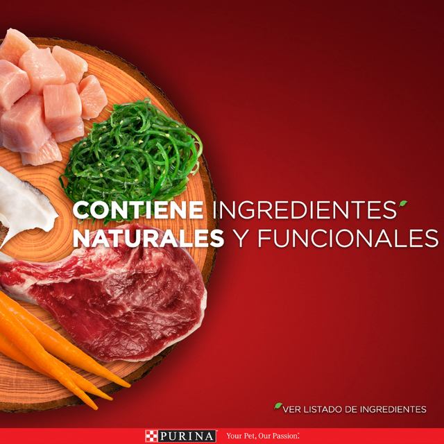 Alimento seco para perro PURINA® ONE® Adulto Mini y Pequeño Pollo y Carne 2kg