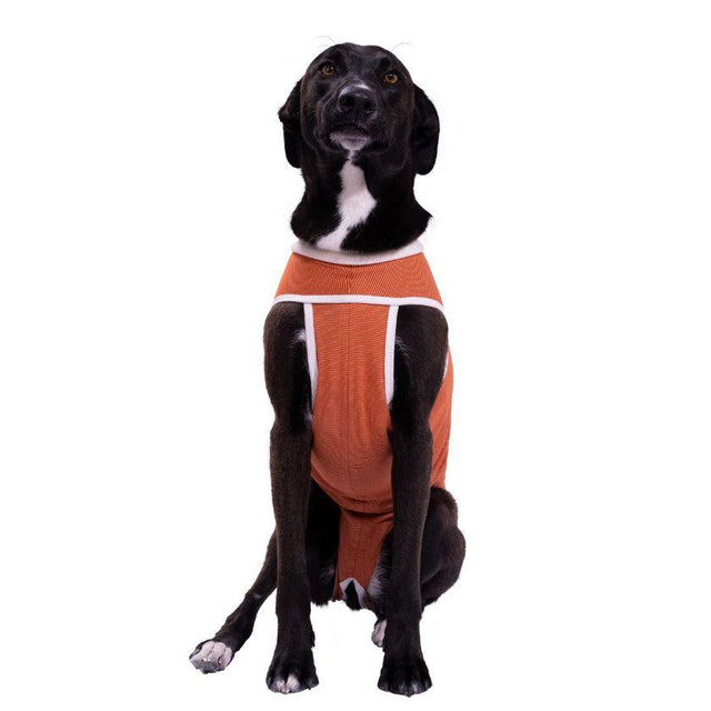  BodyCobre Tradicional Postoperatorio