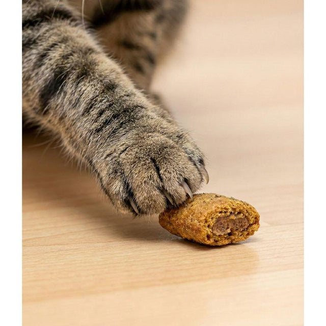  Snack Crunchy TopK9 Gato Adulto 50g Sabor Albacora con Catnip y Vitaminas