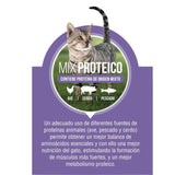  Nómade Gato Adulto