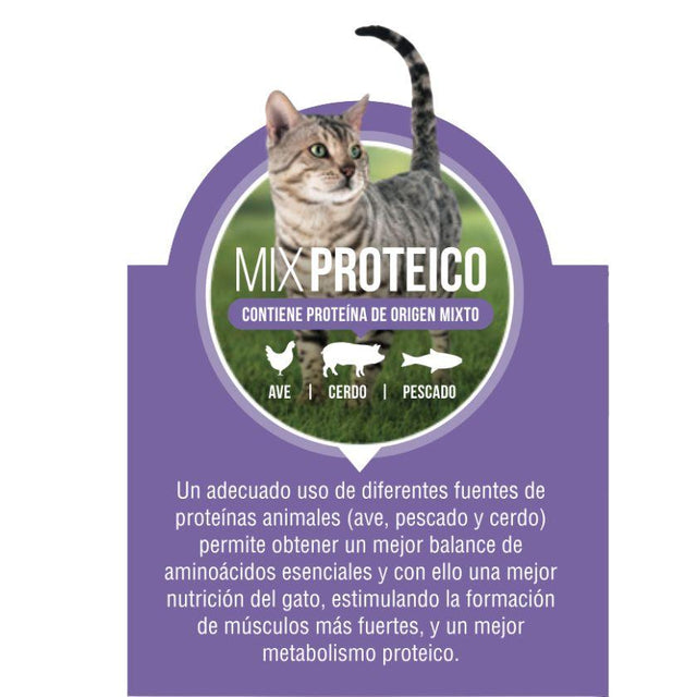  Nómade Gato Adulto