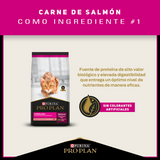  Purina Pro Plan Cat Sterilized con OptiRenal 7.5kg