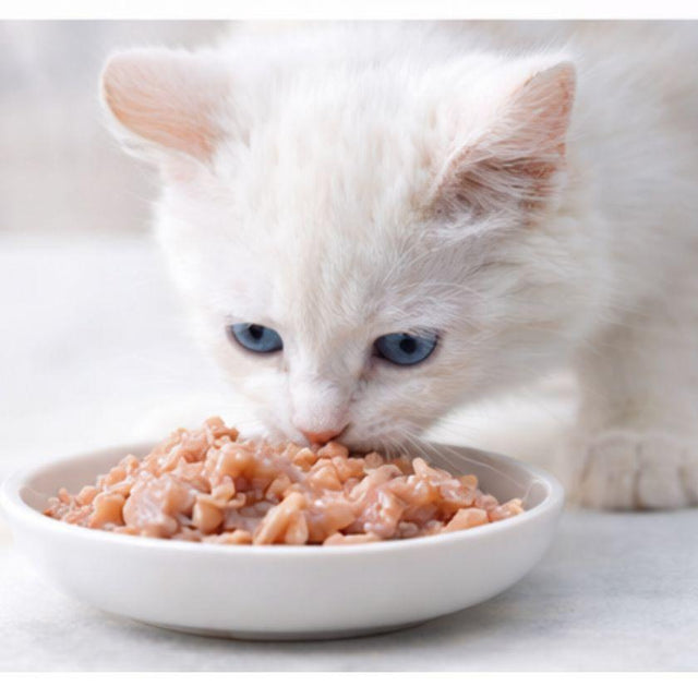  Fit Formula Duo Alimento Húmedo para Gato Sabor Atún, Pollo y Salmón 70gr