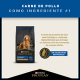  Purina Pro Plan Active Mind 7+ Medium and Large con OptiAge 15kg