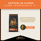  Purina PRO PLAN Adulto Rz Mediana y Grande Sensitive Skin 3kg