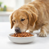  Fit Formula Alimento Húmedo para Perro Sabor Pollo - 85gr