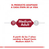 Royal Canin Medium Adulto 12Kg
