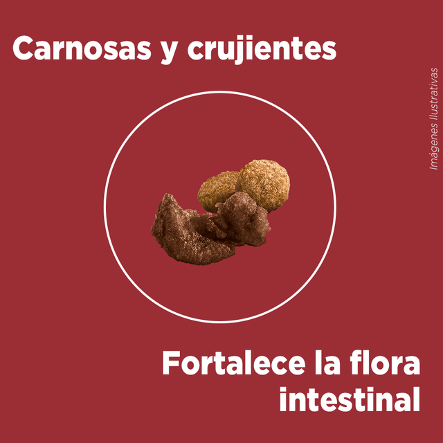Alimento Seco Para Perro Purina® One® Cachorro Pollo Y Carne
