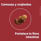 Alimento Seco Para Perro Purina® One® Cachorro Pollo Y Carne